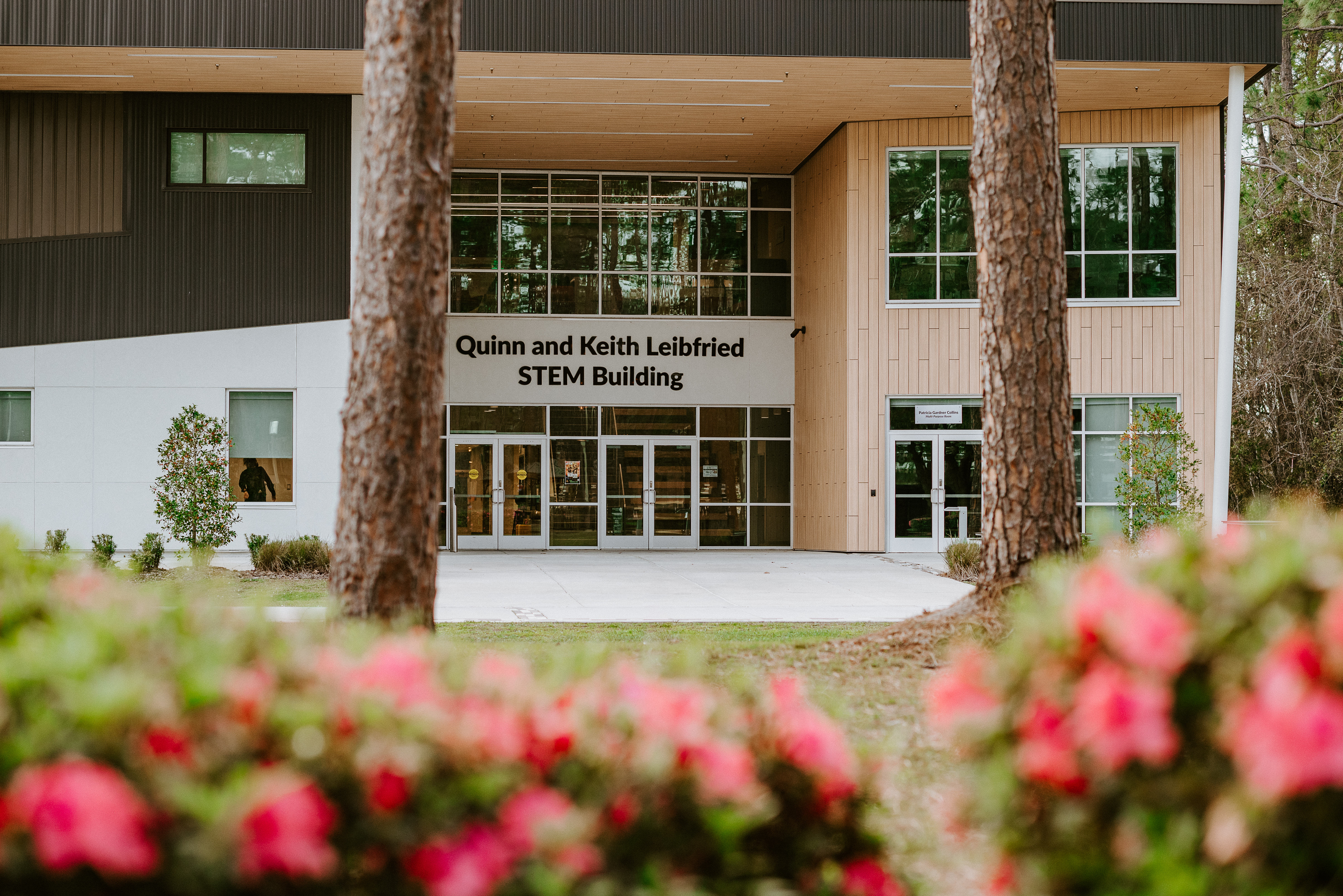 STEM Building STEM Building